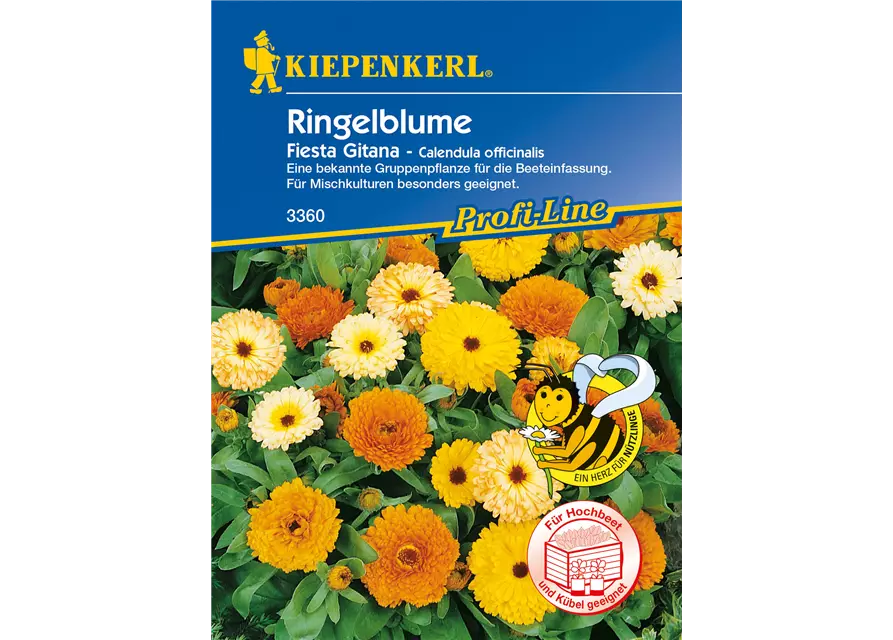 Ringelblume 'Fiesta Gitana'