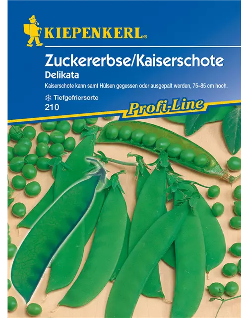 Zuckererbse 'Delikata'