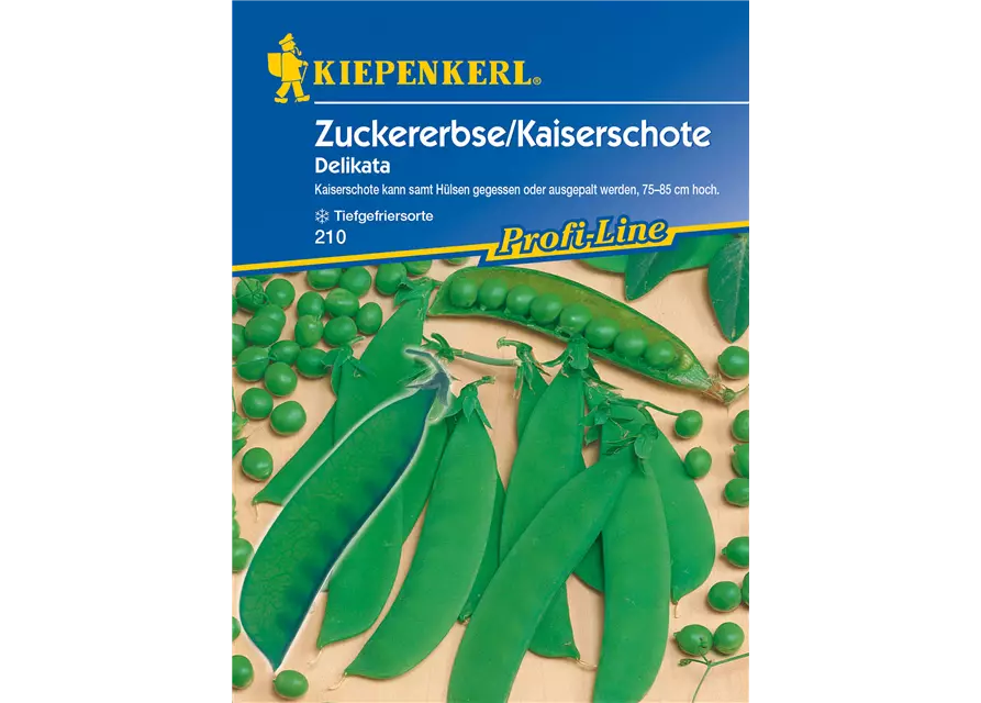 Zuckererbse 'Delikata'