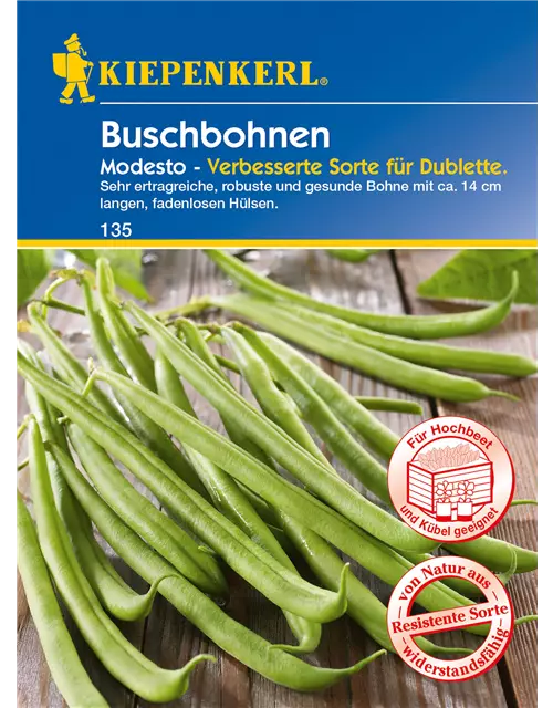 Buschbohne 'Modesto'