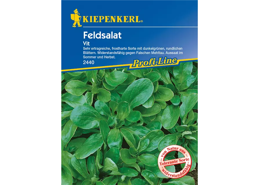 Feldsalat 'Vit'