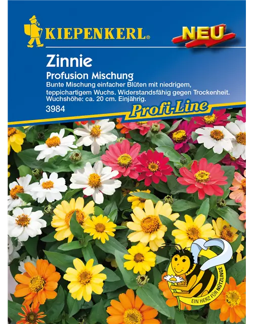 Haage-Zinnie 'Profusion'