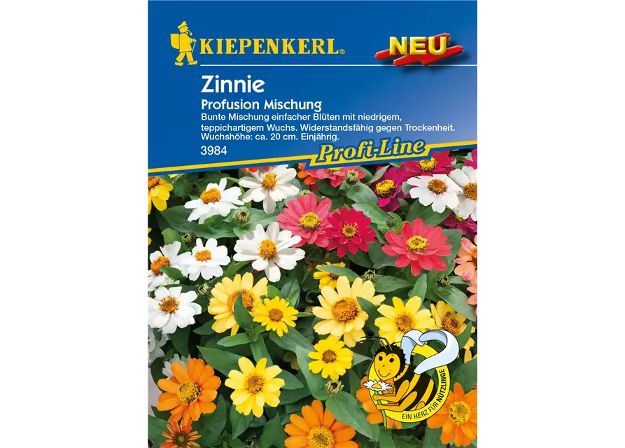 Haage-Zinnie 'Profusion'