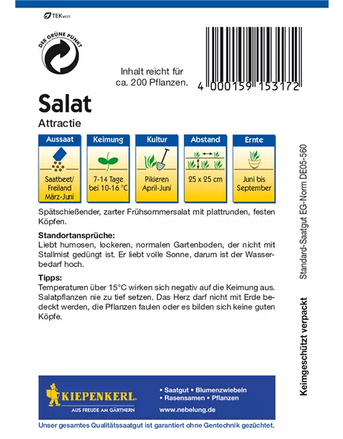 Kopfsalat 'Attraktion'