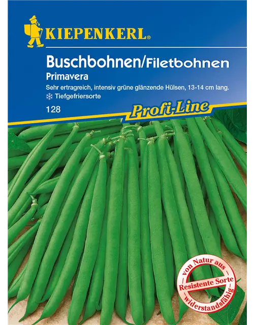 Busch-Bohne 'Primavera'