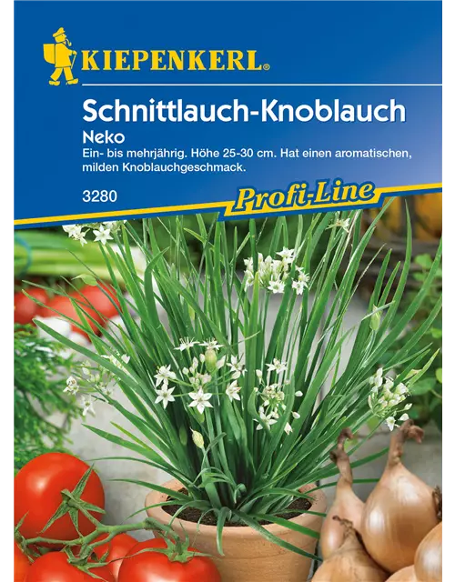 Schnittknoblauch 'Neko'