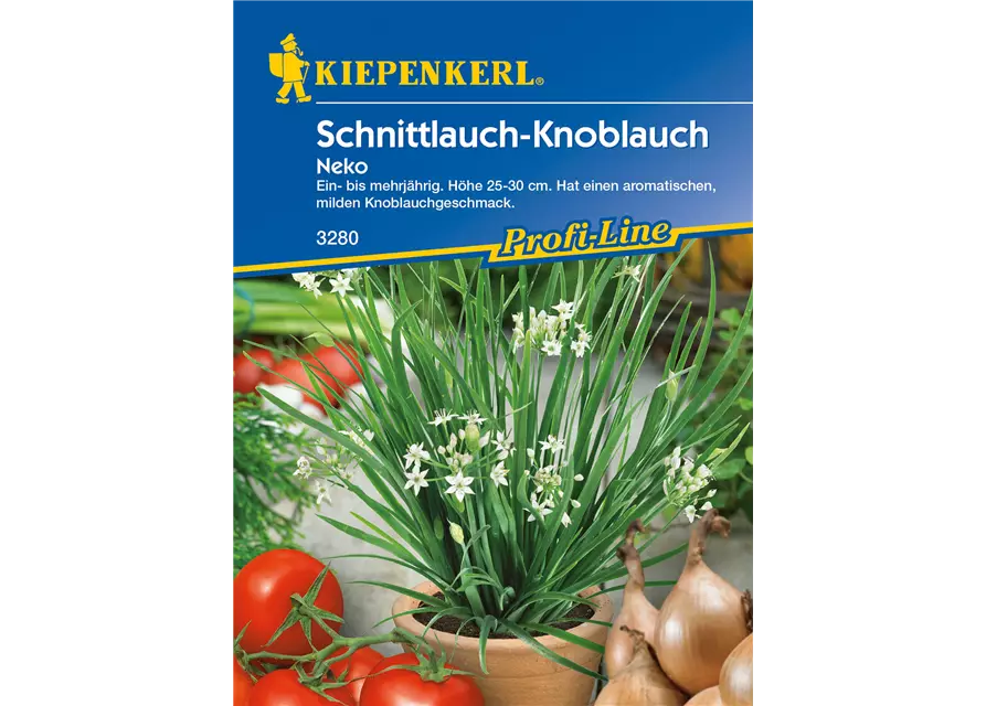 Schnittknoblauch 'Neko'