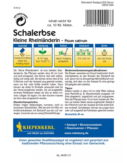 Schal-Erbse 'Kleine Rheinländerin'