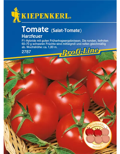 Tomate 'Harzfeuer F1'