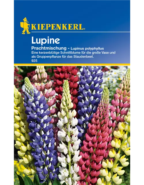 Garten-Lupine 'Prachtmischung'