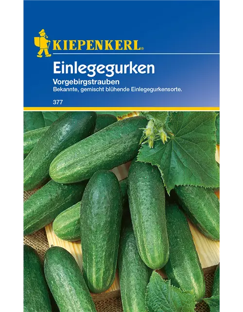 Einlege-Gurke 'Vorgebirgstrauben'