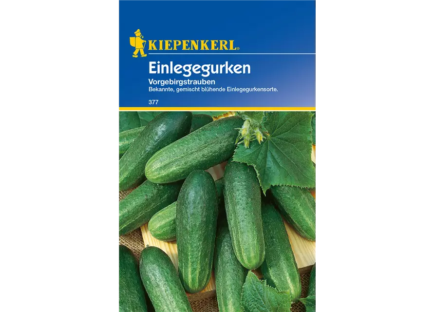 Einlege-Gurke 'Vorgebirgstrauben'