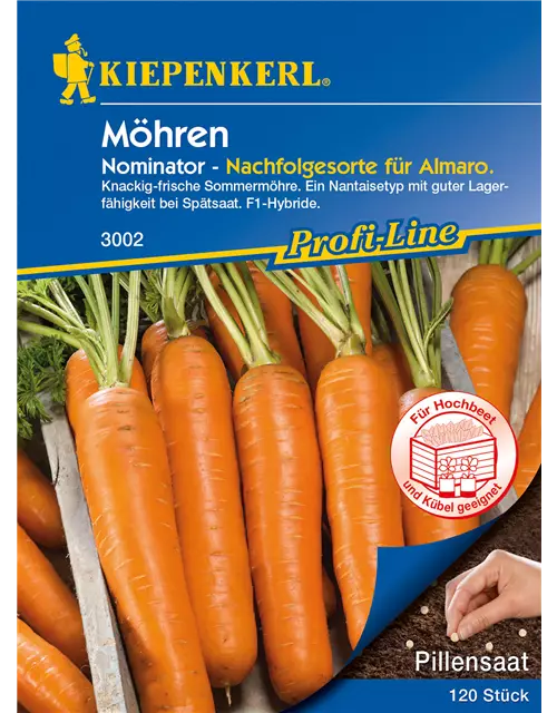 Möhre 'Nominator'