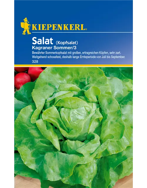 Kopfsalat 'Kagraner Sommer 2'