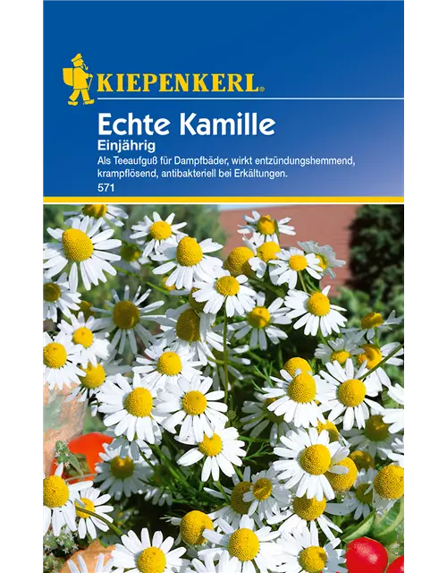 Echte Kamille