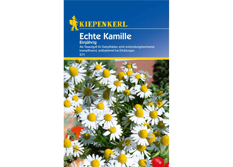 Echte Kamille