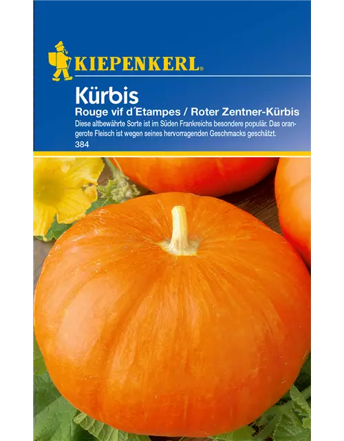 Speise-Kürbis 'Rouge vif d´Etampes'