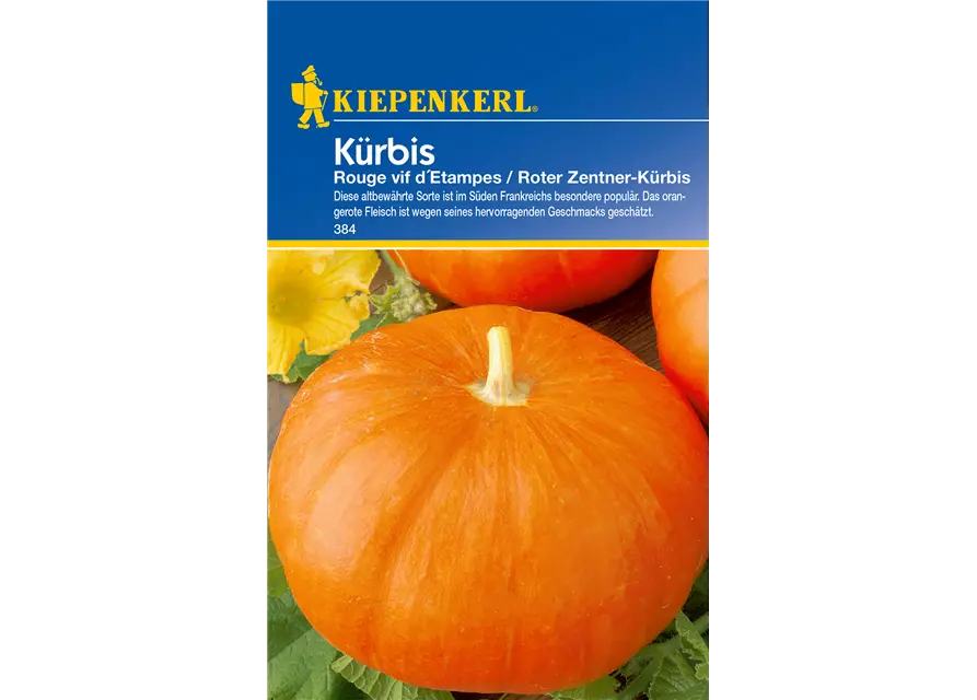 Speise-Kürbis 'Rouge vif d´Etampes'