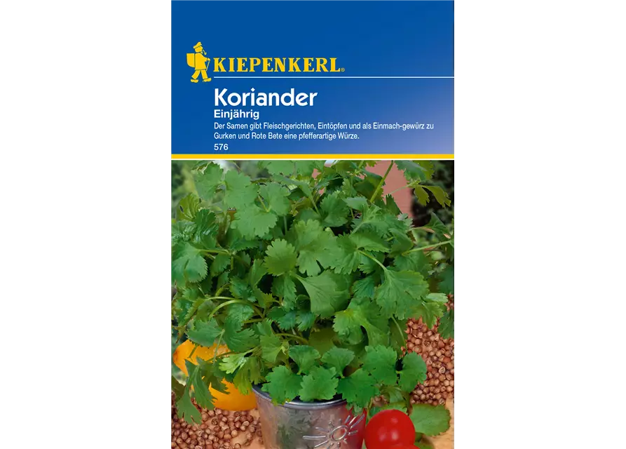 Koriander