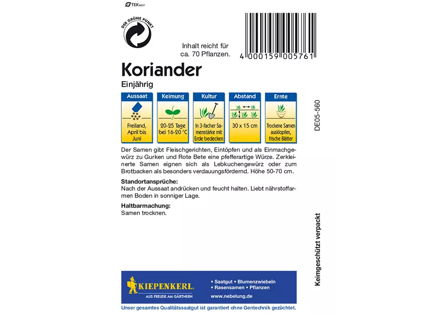 Koriander