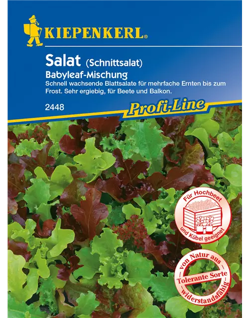 Babyleaf-Salat