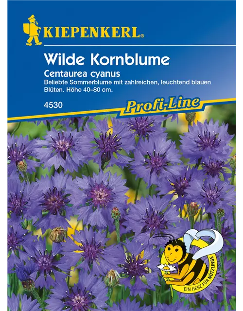 Kornblume