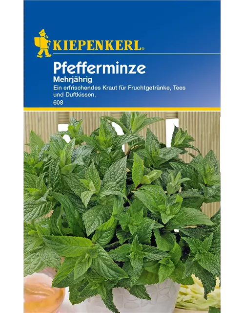 Pfefferminze