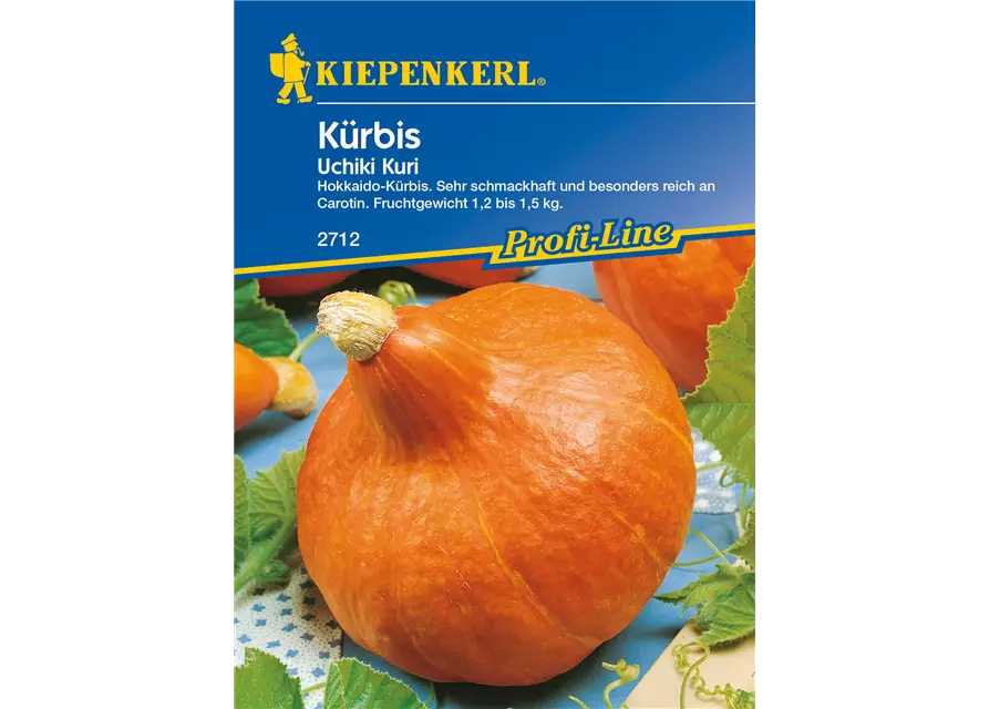 Kürbis 'Uchiki Kuri'