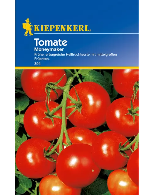 Tomate 'Moneymaker'