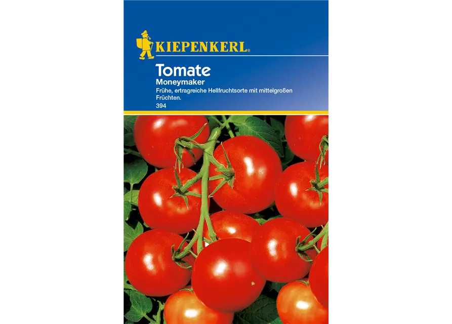 Tomate 'Moneymaker'