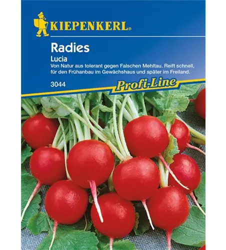 Radieschen 'Lucia'