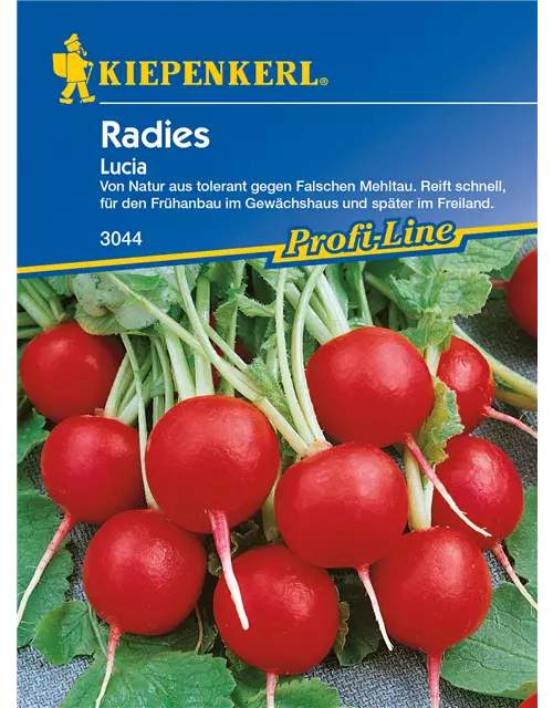 Radieschen 'Lucia'