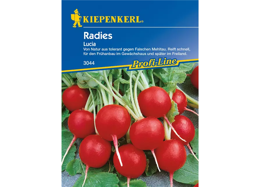 Radieschen 'Lucia'