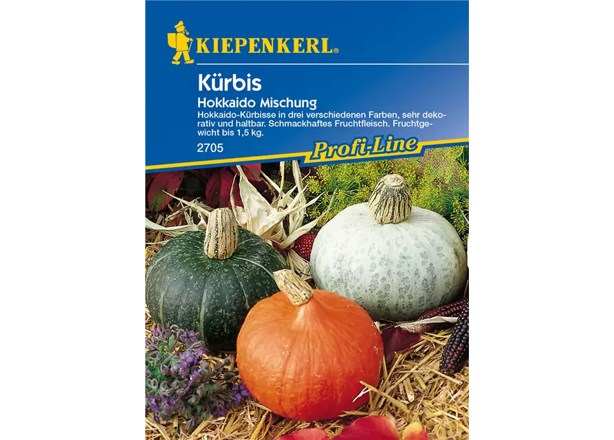 Kürbis 'Hokkaido'