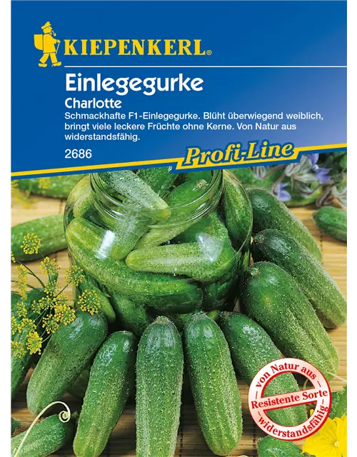 Einlege-Gurke 'Charlotte F1'