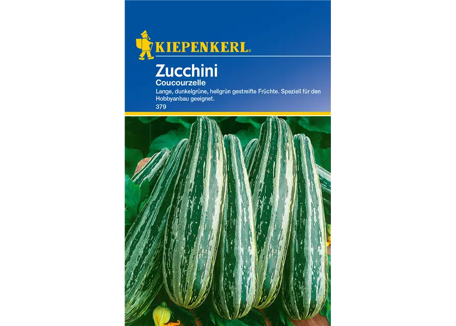 Zucchini 'Coucourzelle'