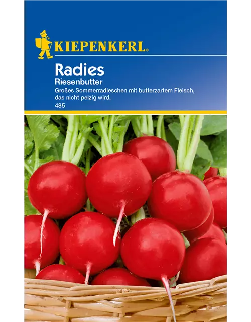 Radieschen 'Riesenbutter'