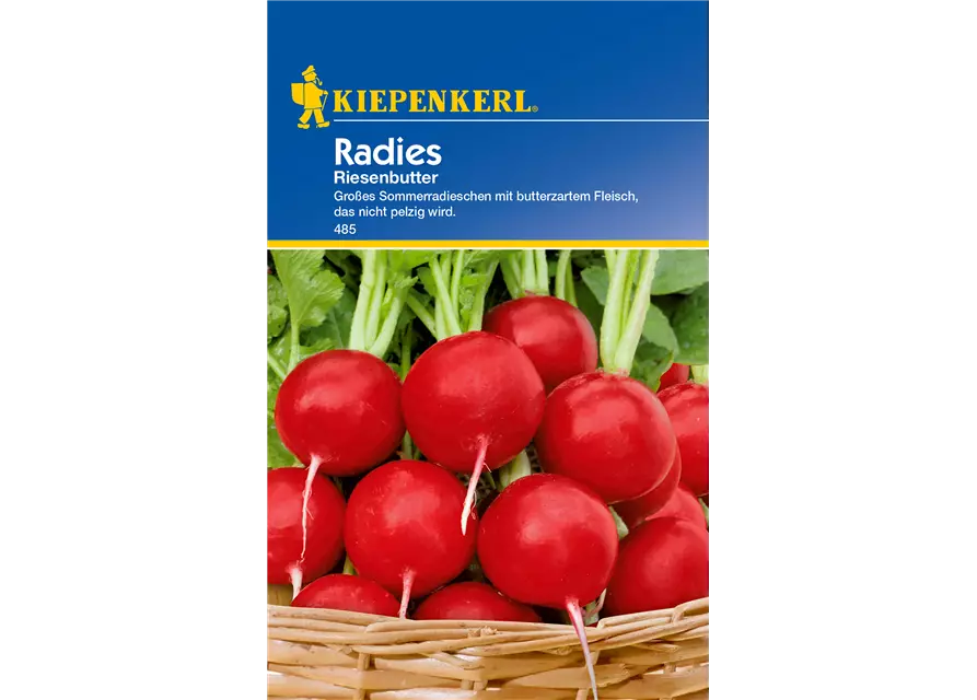 Radieschen 'Riesenbutter'