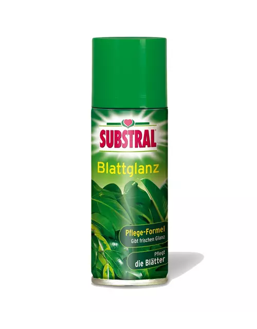 Substral Blattglanz