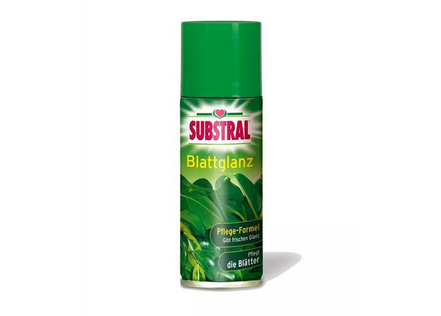 Substral Blattglanz