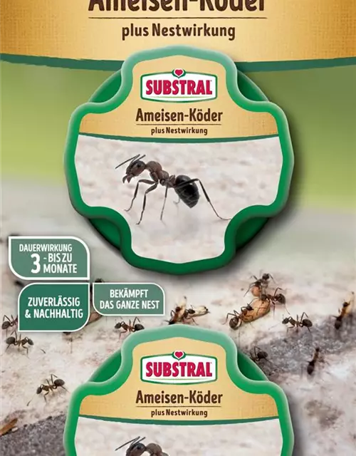 Substral Ameisen-Köder Plus Nestwirkung