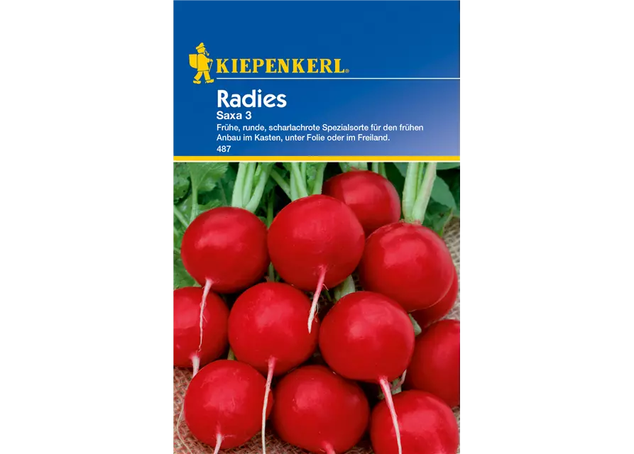 Radieschen 'Saxa 3'