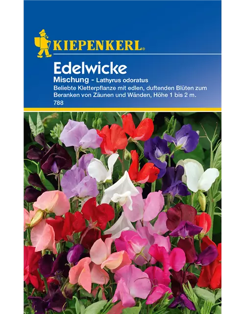 Edelwicke 'Mischung'