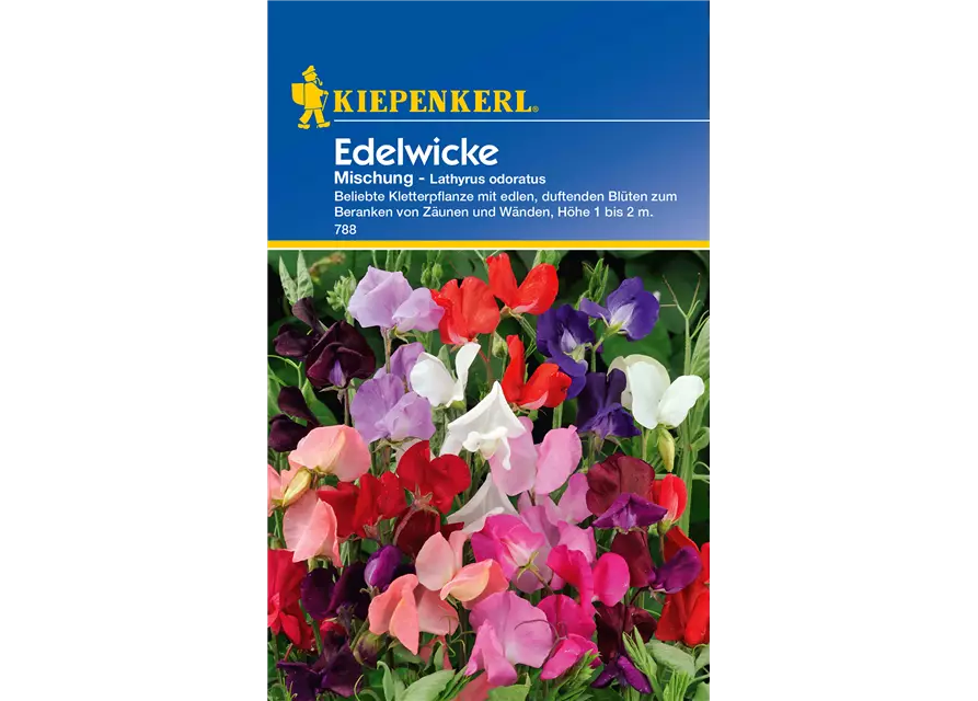 Edelwicke 'Mischung'