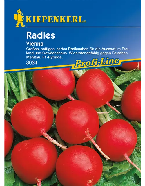 Radieschen 'Vienna'