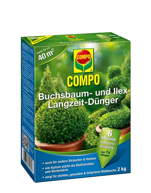 Compo Buchsbaum- und Ilex Langzeit-Dünger 