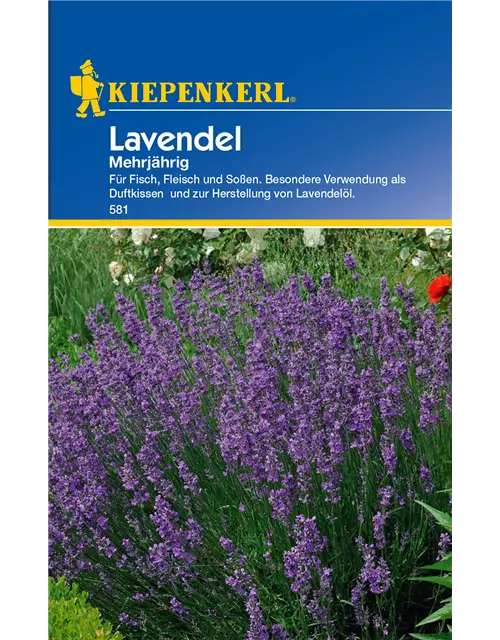 Echter Lavendel