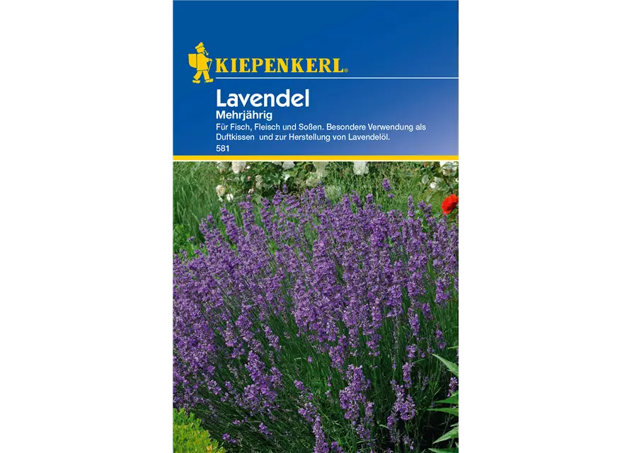 Echter Lavendel