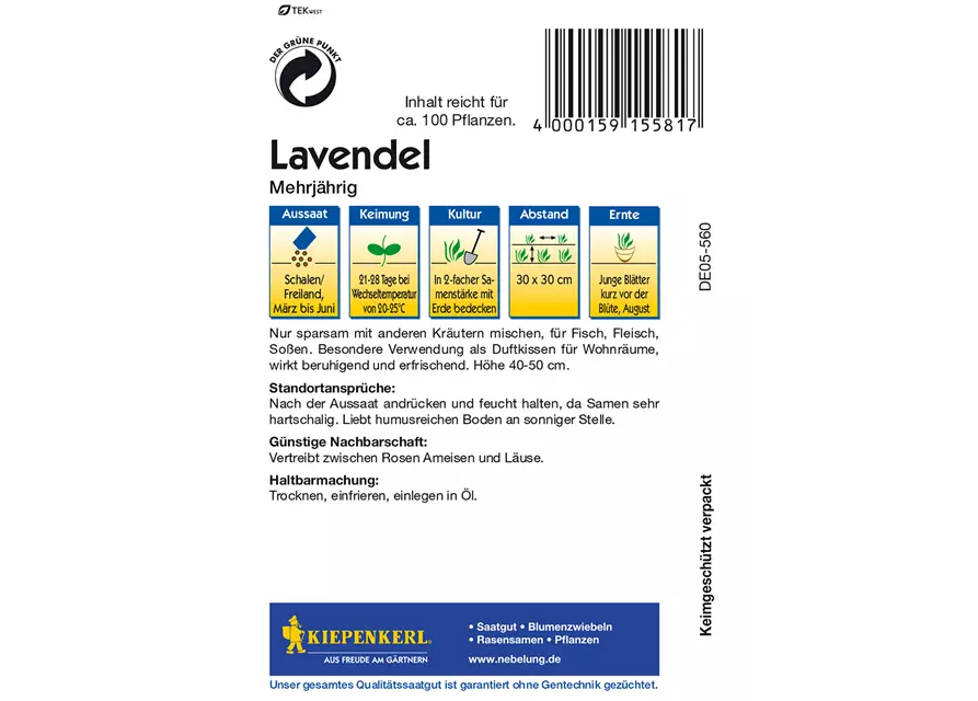 Echter Lavendel