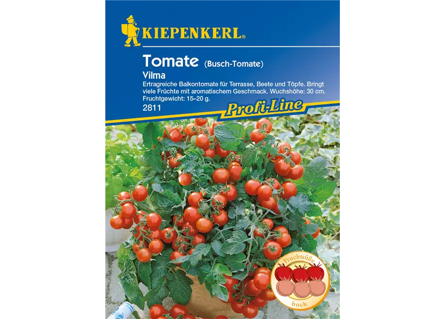 Tomate 'Vilma'